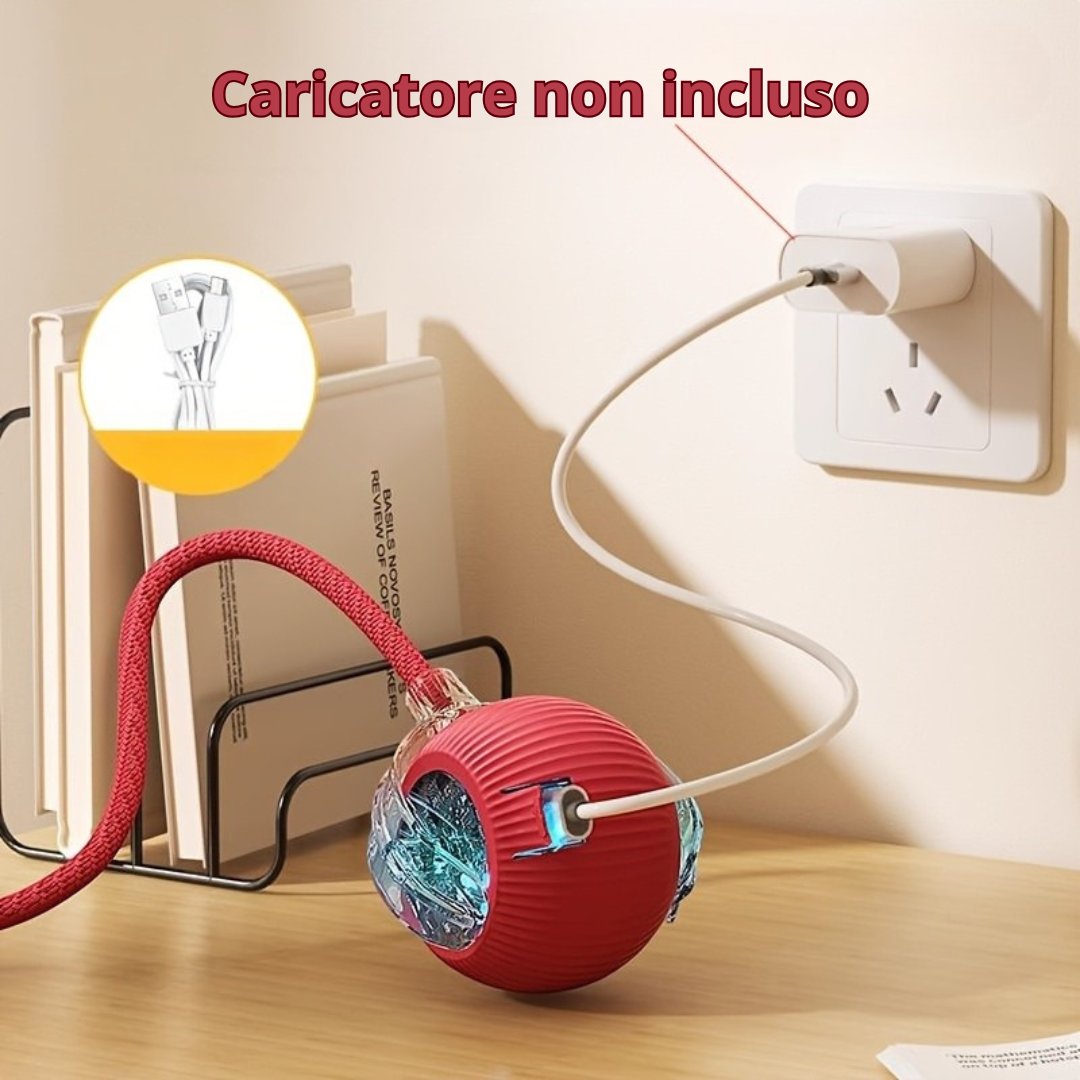 🐾 ZAMPIROLL™😻 + E-BOOK 📚