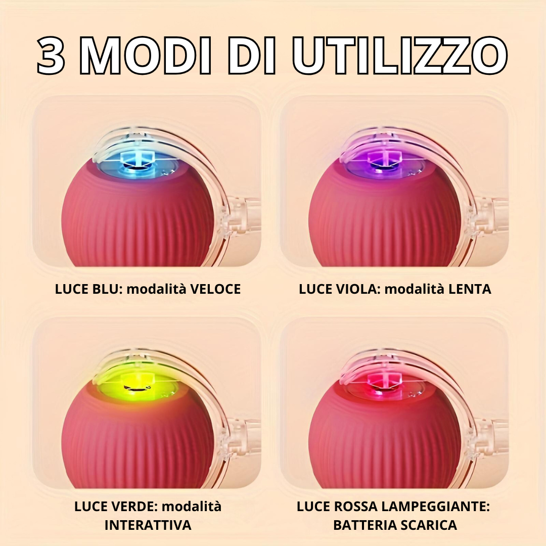 🐾 ZAMPIROLL™😻 + E-BOOK 📚