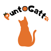 PuntoGatto