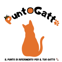 PuntoGatto