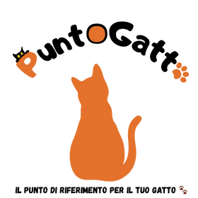 PuntoGatto